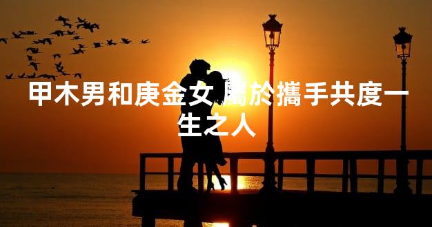 甲木男和庚金女 屬於攜手共度一生之人